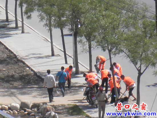 营口市区多少人口_营口市区(2)