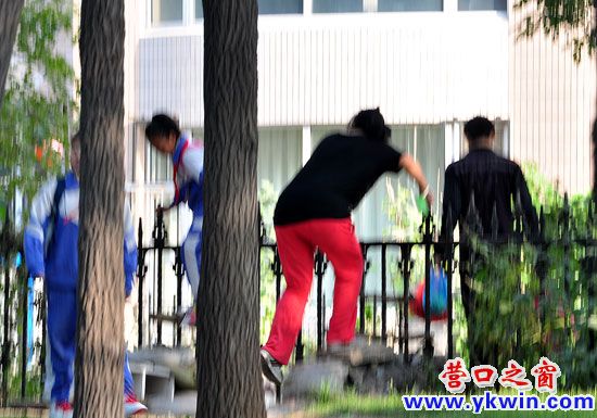 男女老少翻护栏 公园后门何时开