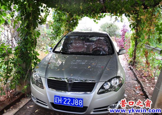 葡萄架下的“簡(jiǎn)易車庫”