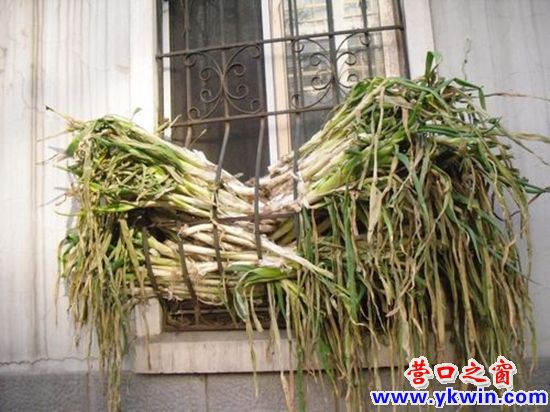 1037735_12888553386d8w_副本