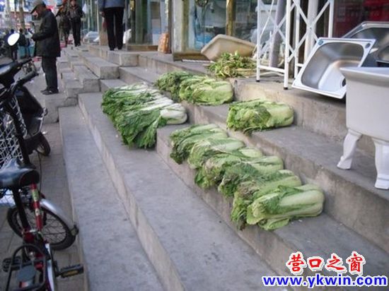 1037735_12888553130tt7_副本