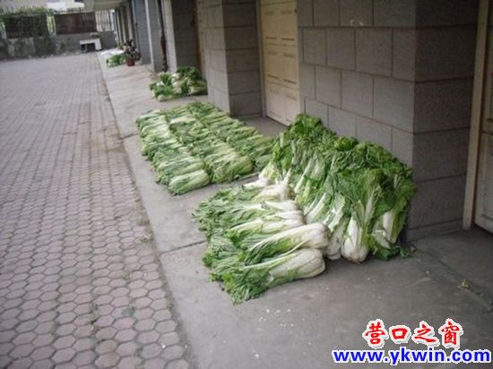 1037735_1288855333D5e7_副本