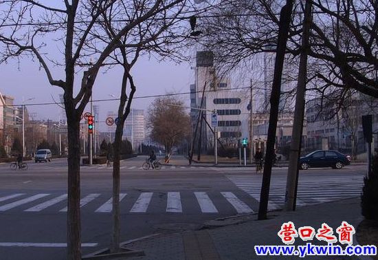 281_36285_99f543e30825388_副本