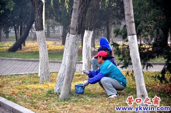 人民公園，園林工人粉刷忙