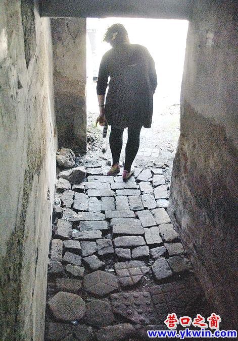 281_61250_1d6625cf05d4d1b_副本