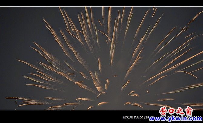 爆竹賀新春 燃放有保障