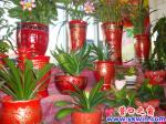 蓋州：龍年春來早，綠意蘊(yùn)生機(jī)