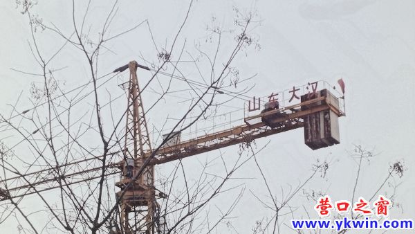 “山東大漢”真危險
