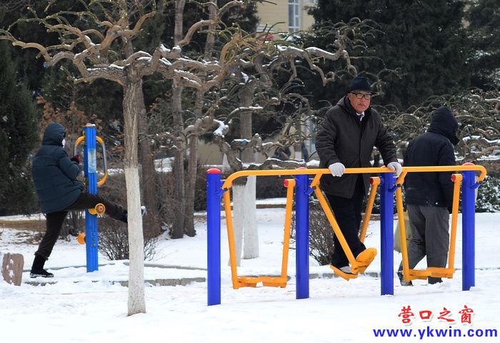 雪后公園里的人們
