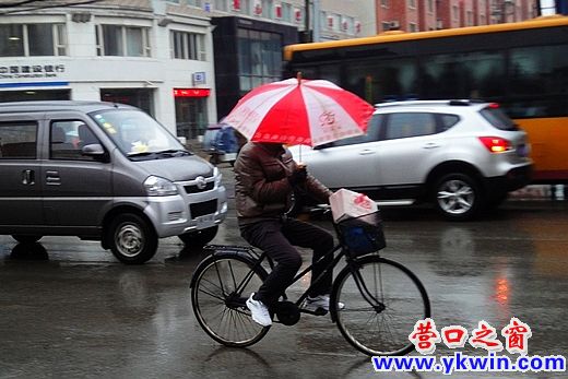 春雨绵绵洒滨城 静观雨中众生相