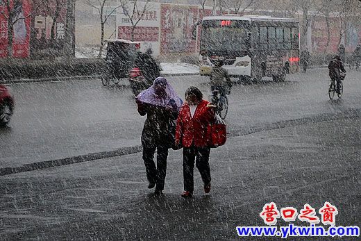 清明鵝毛起  營口雪紛紛