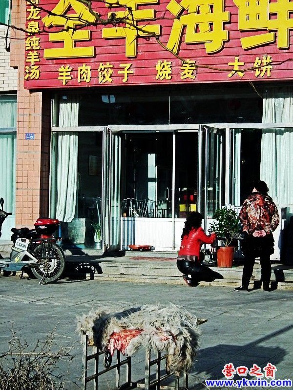 羊皮做‘幌’實(shí)在血腥！