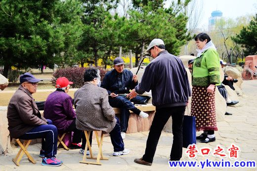 春暖花开时 公园众生相