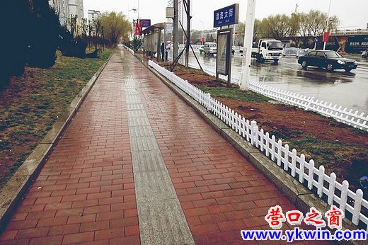 渤海大街新增花坛围栏