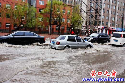 一场春雨后 营口成泽国