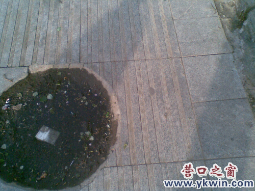 20120426(002)_conew1