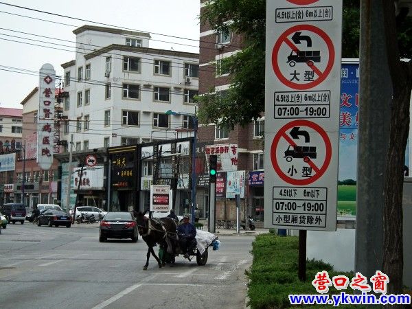 ‘小騾哥’獨(dú)闖市府路
