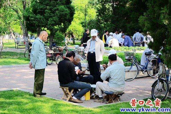 夏日午后公園里的閑逸