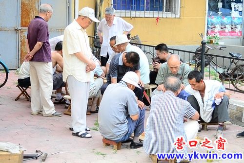 小区楼下的弈棋人