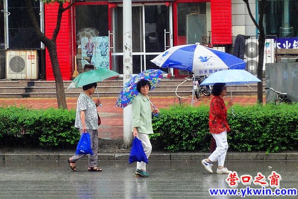 炎炎夏日里的一丝清凉