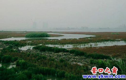 營(yíng)口市有個(gè)角