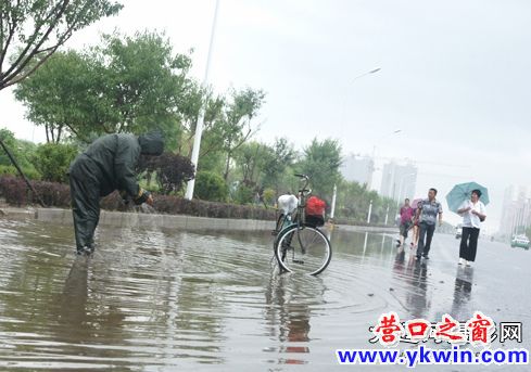 營(yíng)口水災(zāi)：市民馬路上下網(wǎng)捉魚(yú)