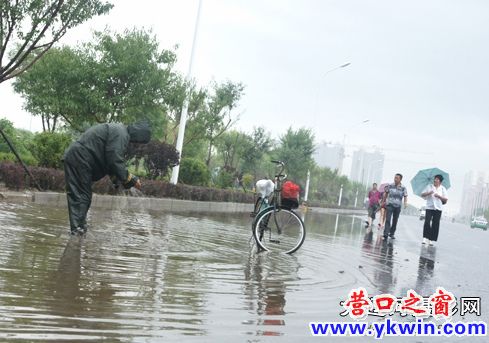 营口水灾：市民马路上下网捉鱼