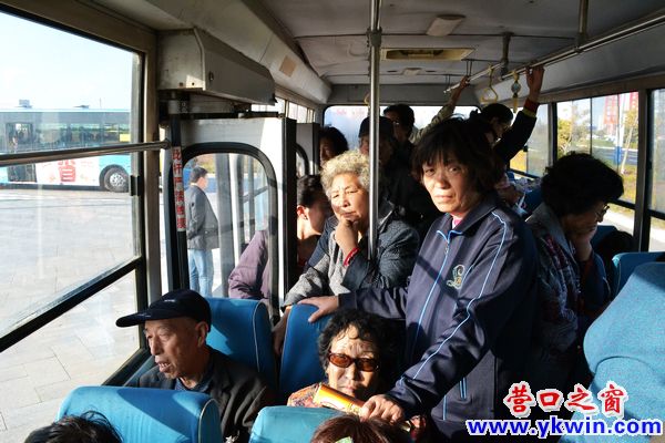 營口公交助力農(nóng)博 市民稱贊