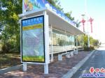 营口三路站点再遭破坏