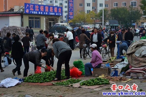 营口秋季大菜市 销售火爆