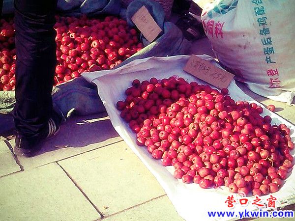 608c081cjw1dylaw7uxr2j_副本