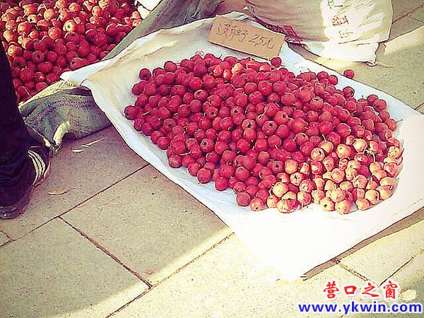 608c081cjw1dylavn3lqmj_副本