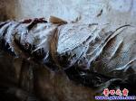 營口舊小區(qū)老舊暖氣管道有待檢修