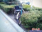 自行車亂停 草叢成災區(qū)