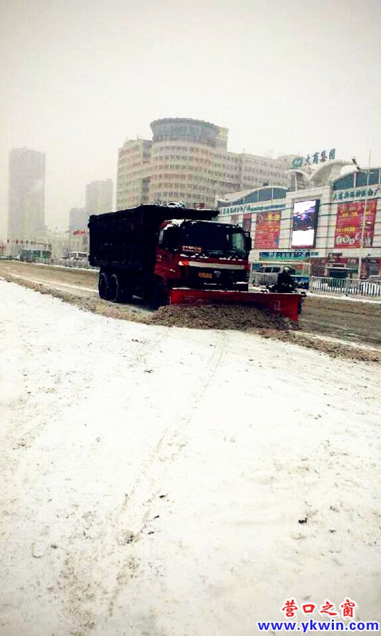 以雪为令彰显营口力量