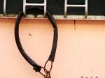 防護(hù)欄鎖車，防盜意識(shí)強(qiáng)