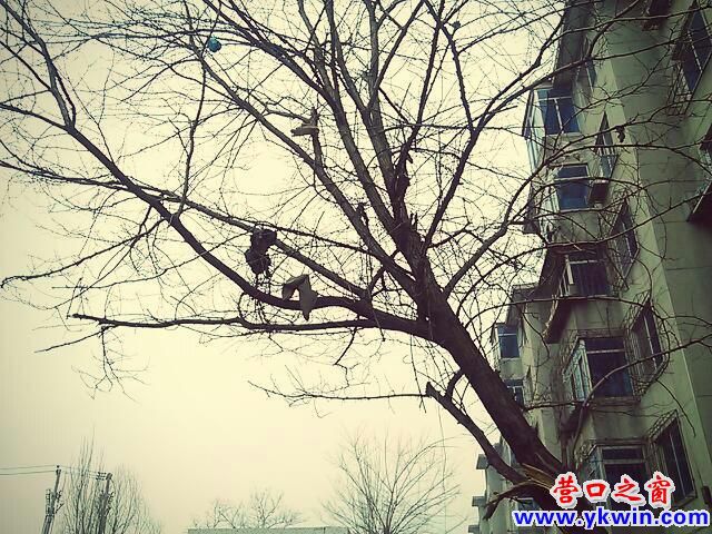 c0287a07jw1e2rgzu173oj