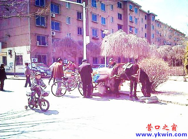 “低碳”叫卖熏蒙了谁
