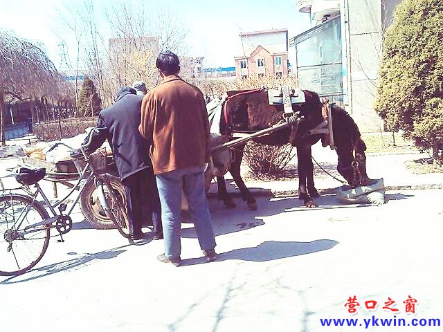 c0287a07jw1e3ll2z8w2kj_副本