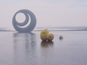 鲅鱼圈来了个小倒鸭