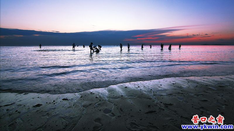 傍晚的营口白沙湾黄金海岸