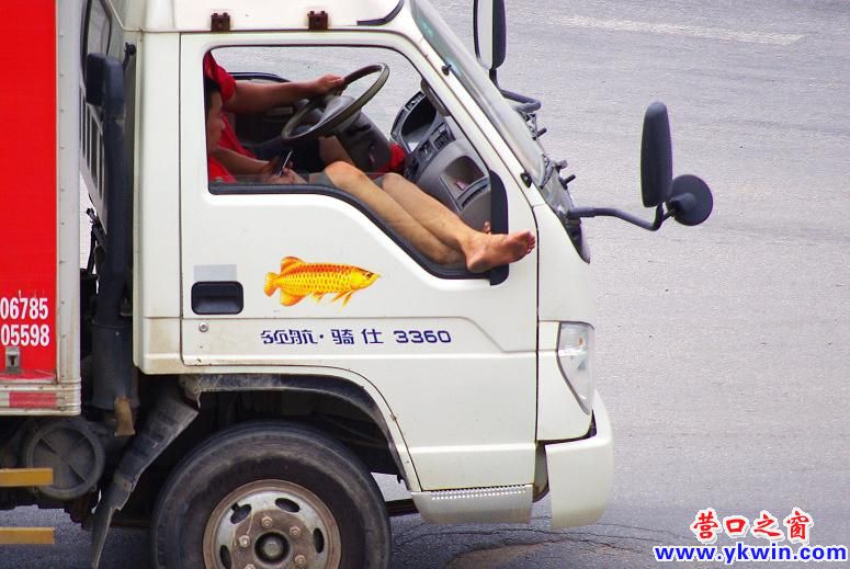 盖州：汽车窗上惊现抖动双脚