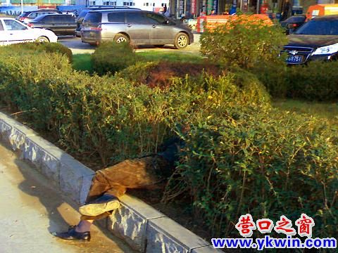 醉汉当街睡大觉