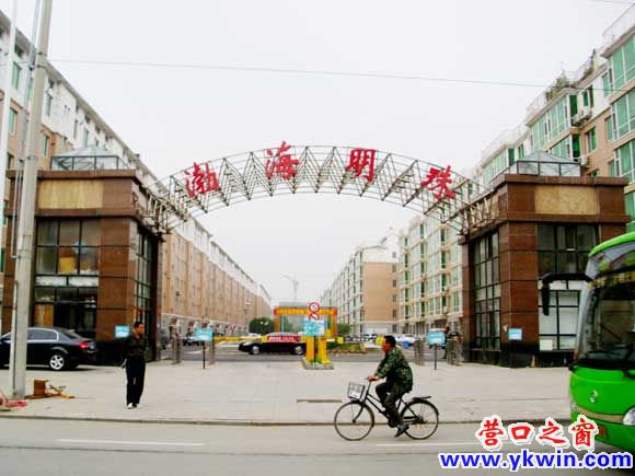 一个小区 两种路灯