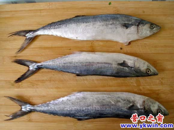 街头叫卖小鲅鱼 应当向其亮红牌