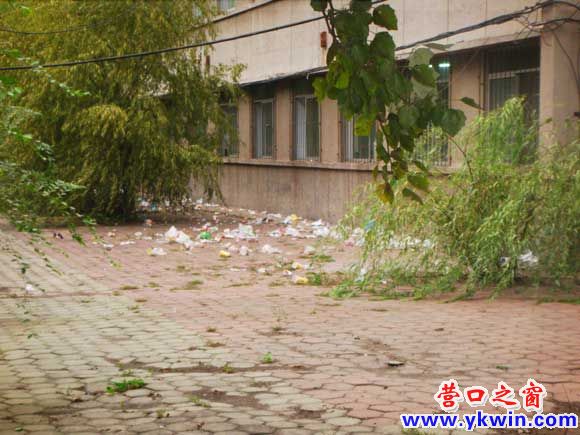营口大学里无人管理的垃圾