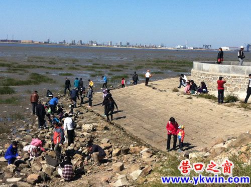 国庆合家出游乐  湿地公园捉小鱼