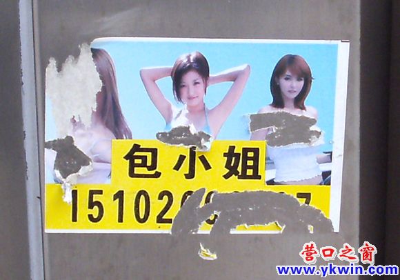 营口人请抵制“包小姐”