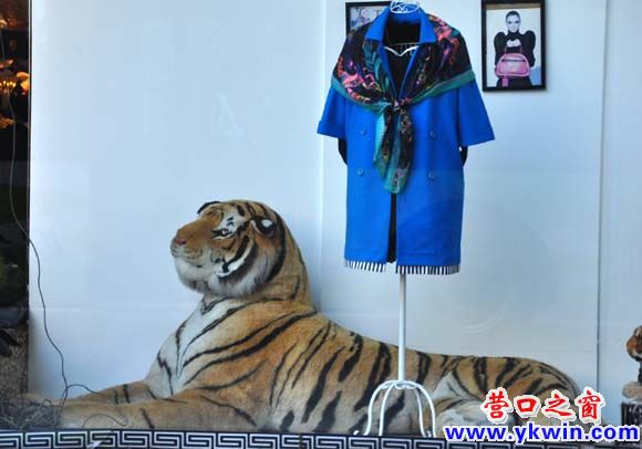 法利欧迪“老虎看门”毙掉众商家