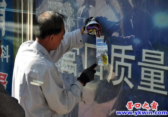七旬老人变身“城市狗皮癣克星”